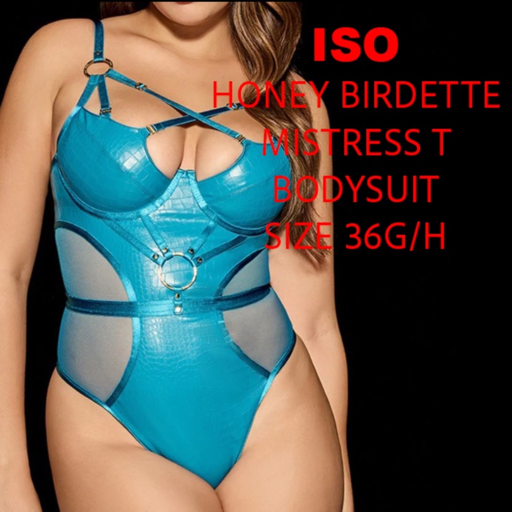 ISO Honey Birdette MISTRESS T BODYSUIT
